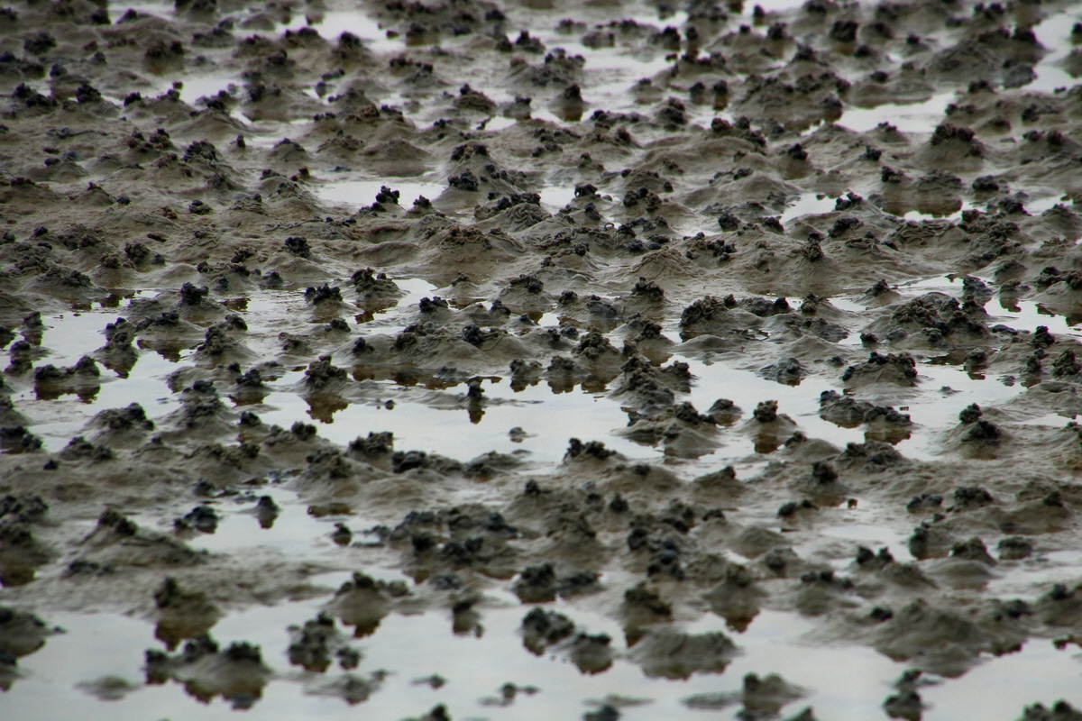 2015_09_13_016183p_Bildgr��e �ndern