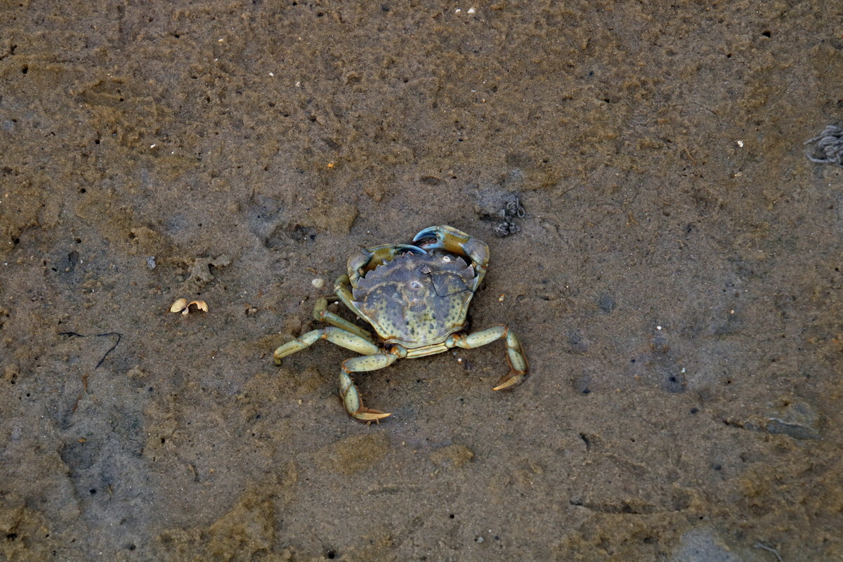 2015_09_13_016204p_Bildgr��e �ndern