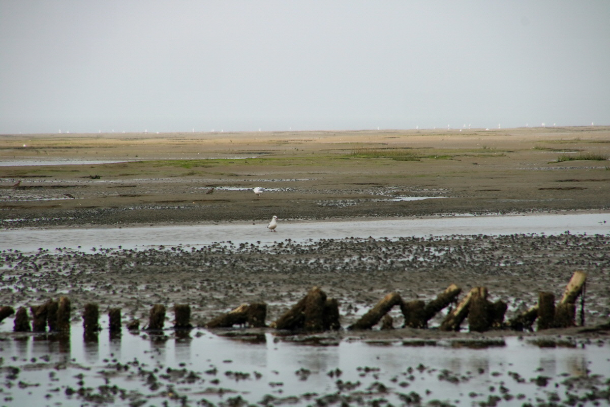 2015_09_13_016207p_Bildgr��e �ndern