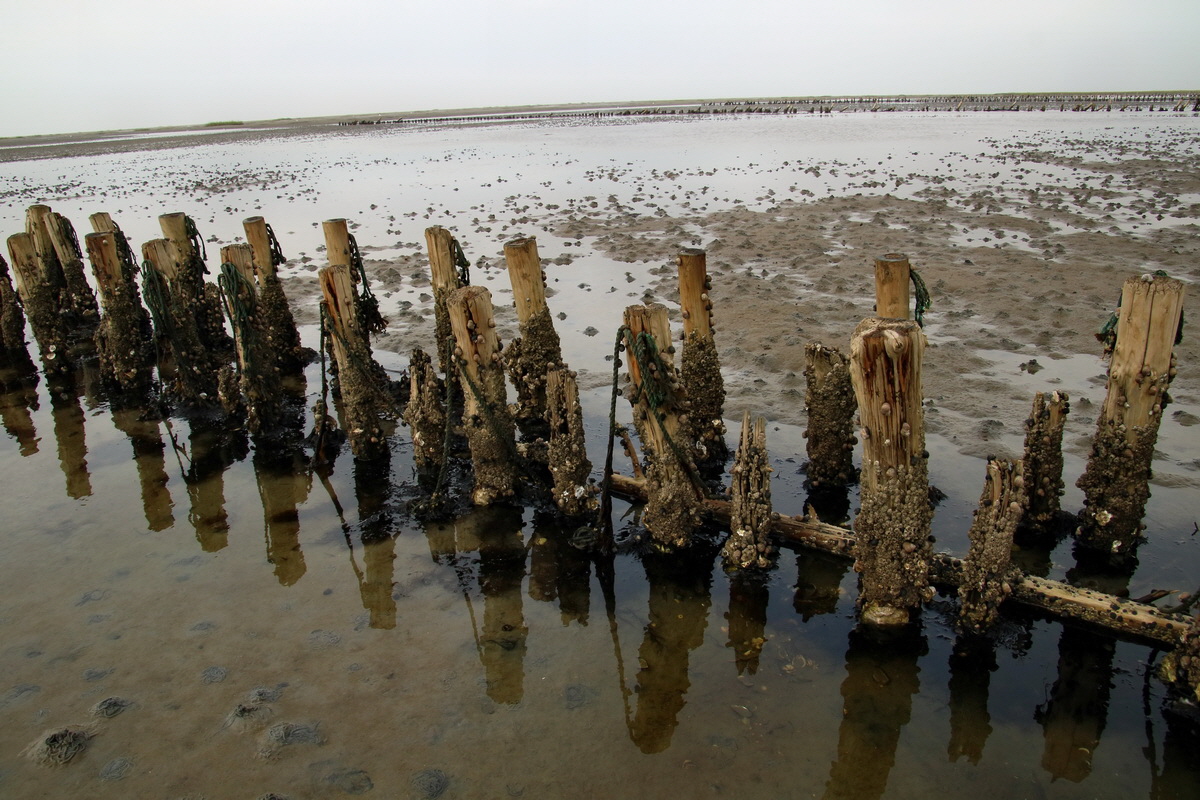 2015_09_13_016209p_Bildgr��e �ndern