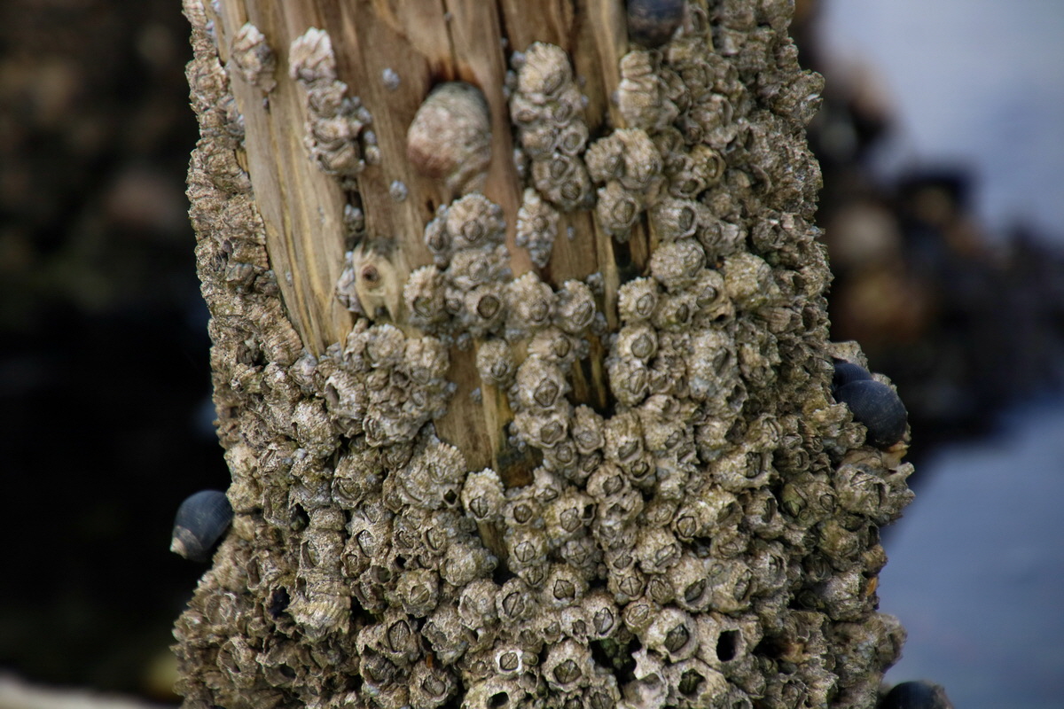 2015_09_13_016211p_Bildgr��e �ndern