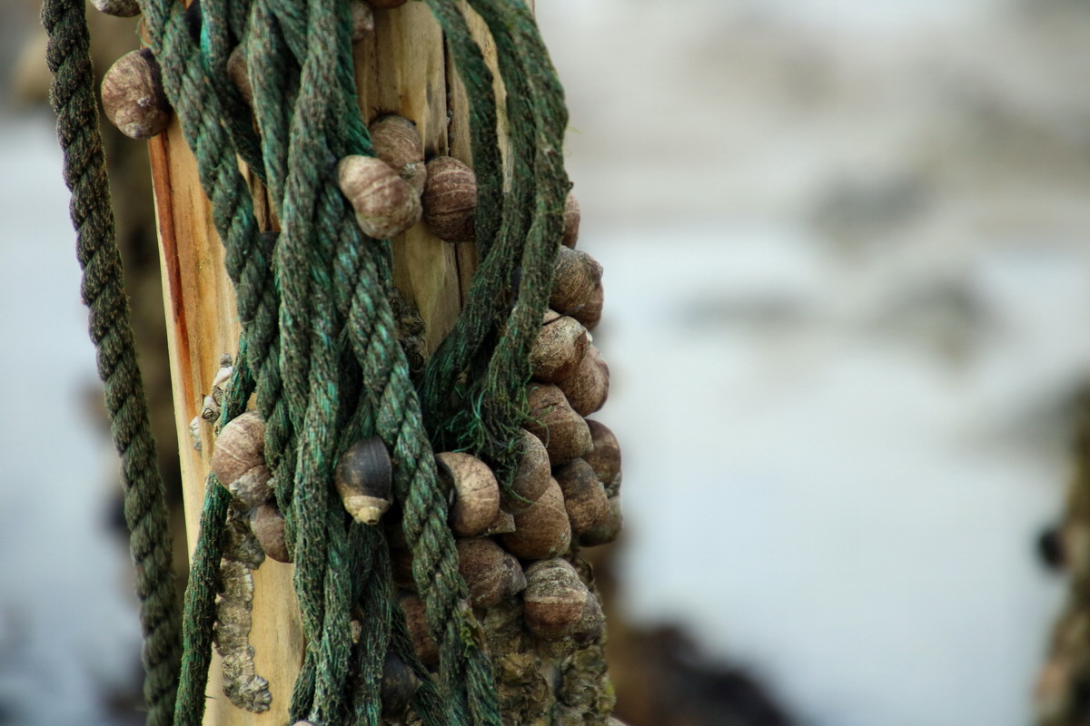 2015_09_13_016213p_Bildgr��e �ndern