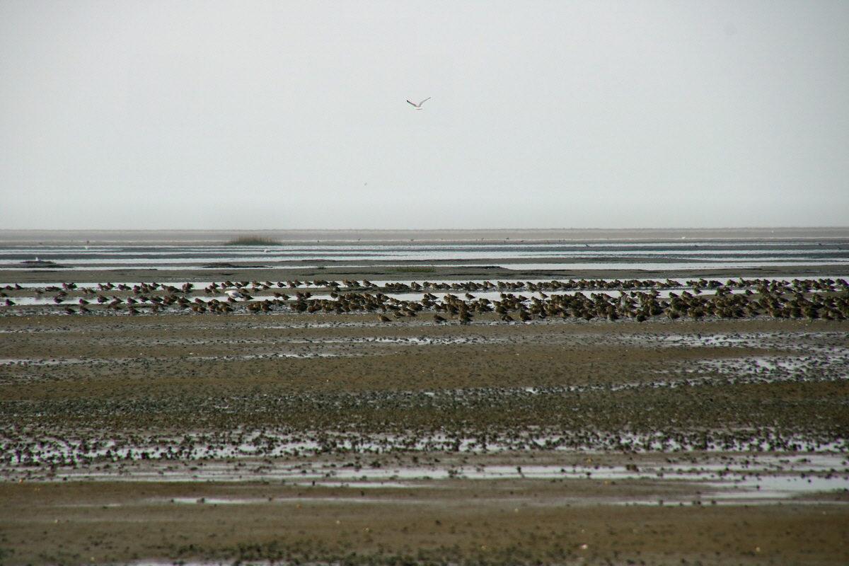 2015_09_13_016220p_Bildgr��e �ndern