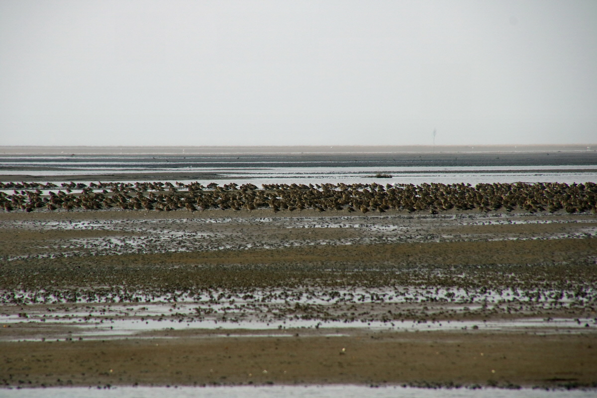 2015_09_13_016223p_Bildgr��e �ndern