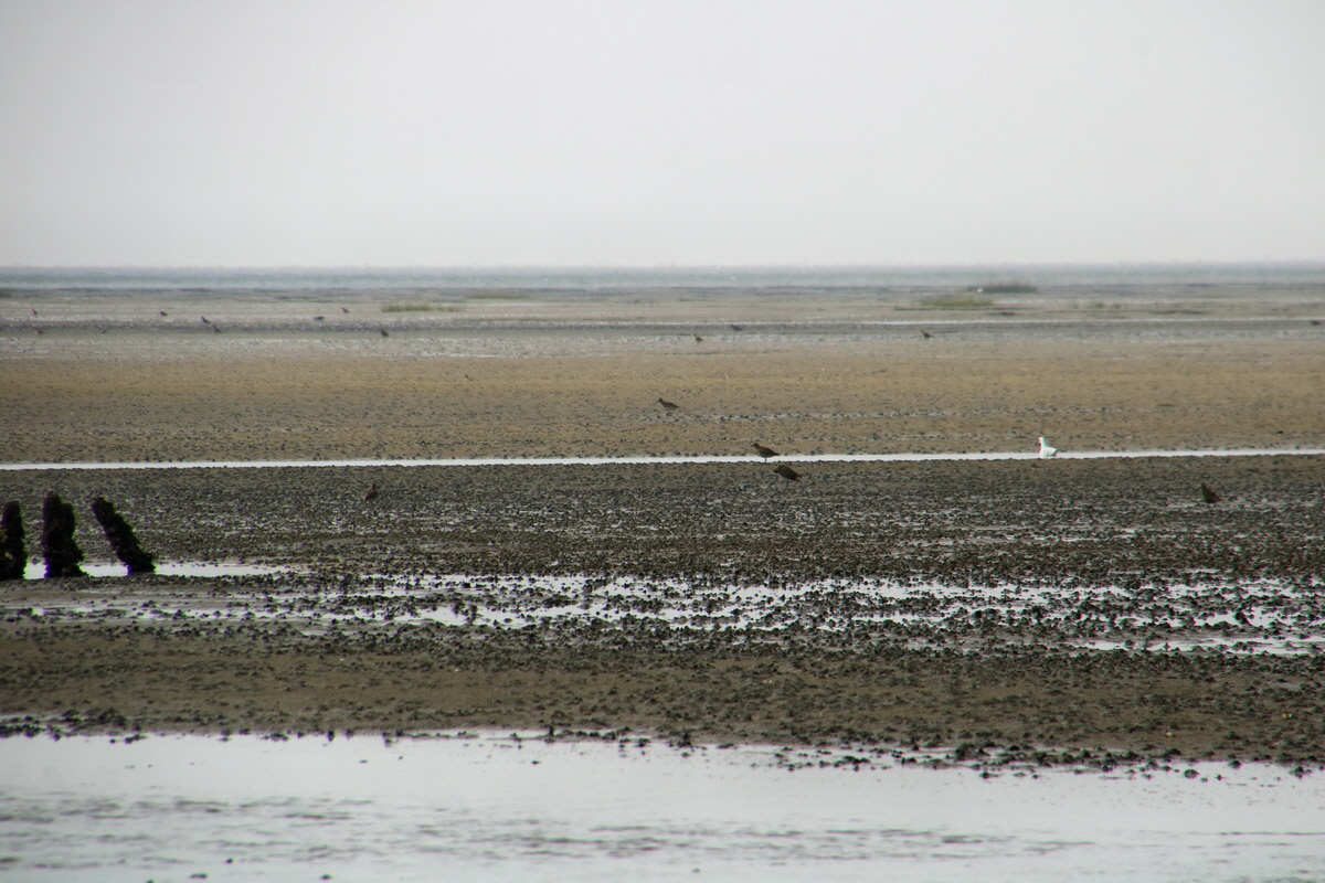 2015_09_13_016230p_Bildgr��e �ndern