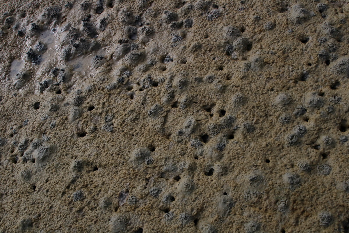 2015_09_13_016241p_Bildgr��e �ndern