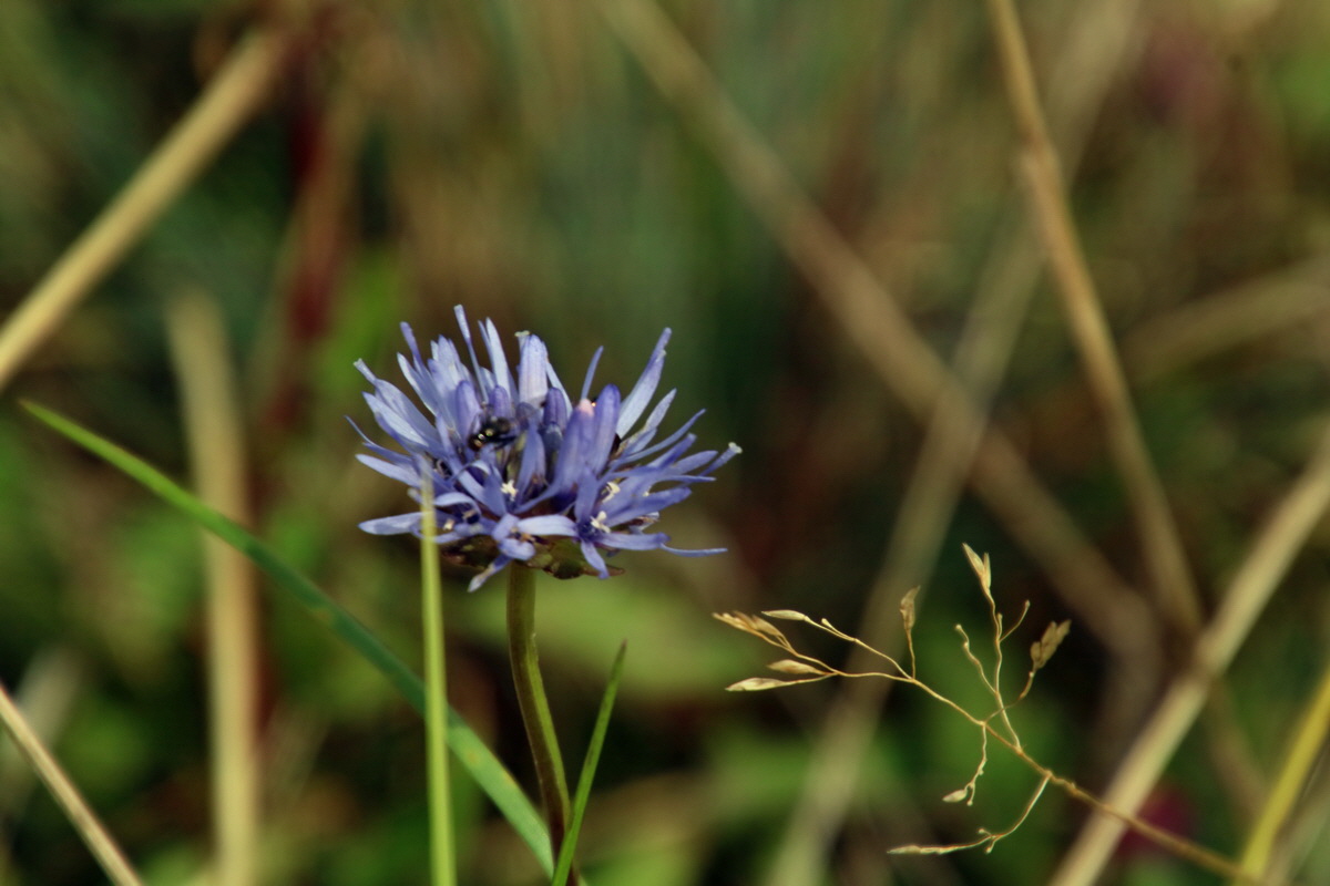 2015_09_13_016244p_Bildgr��e �ndern