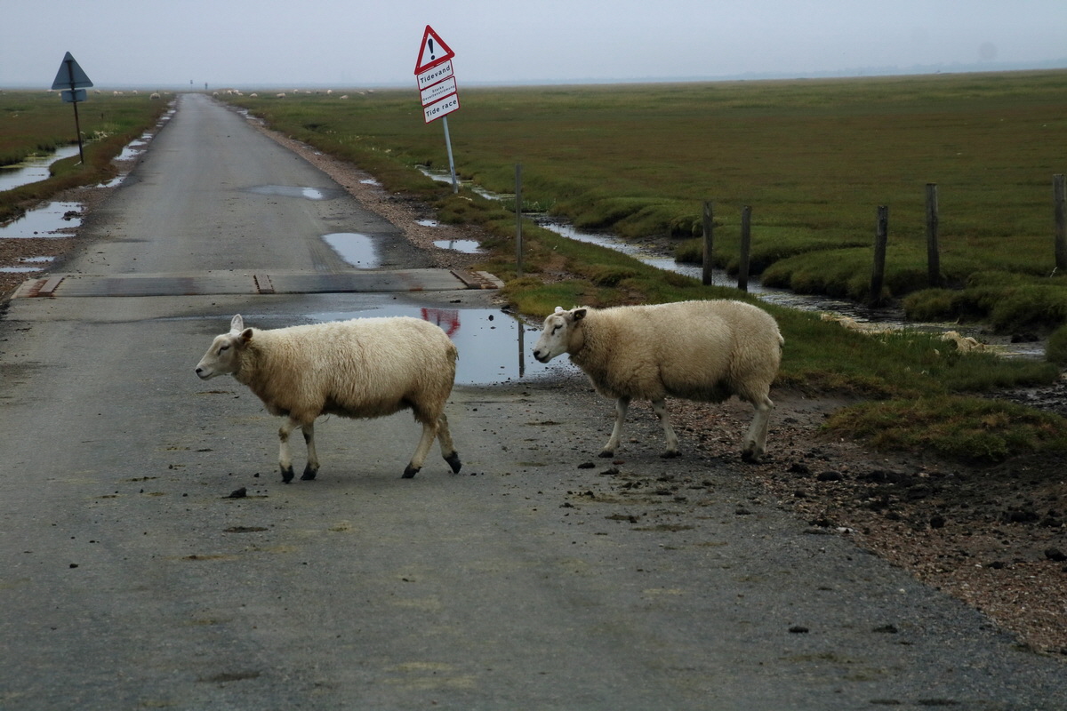 2015_09_13_016279p_Bildgr��e �ndern