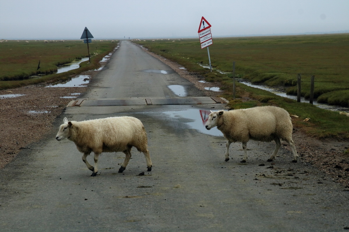 2015_09_13_016284p_Bildgr��e �ndern