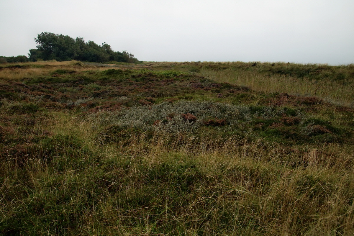 2015_09_14_016388p_Bildgr��e �ndern