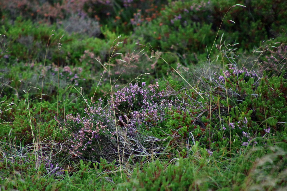 2015_09_14_016393p_Bildgr��e �ndern