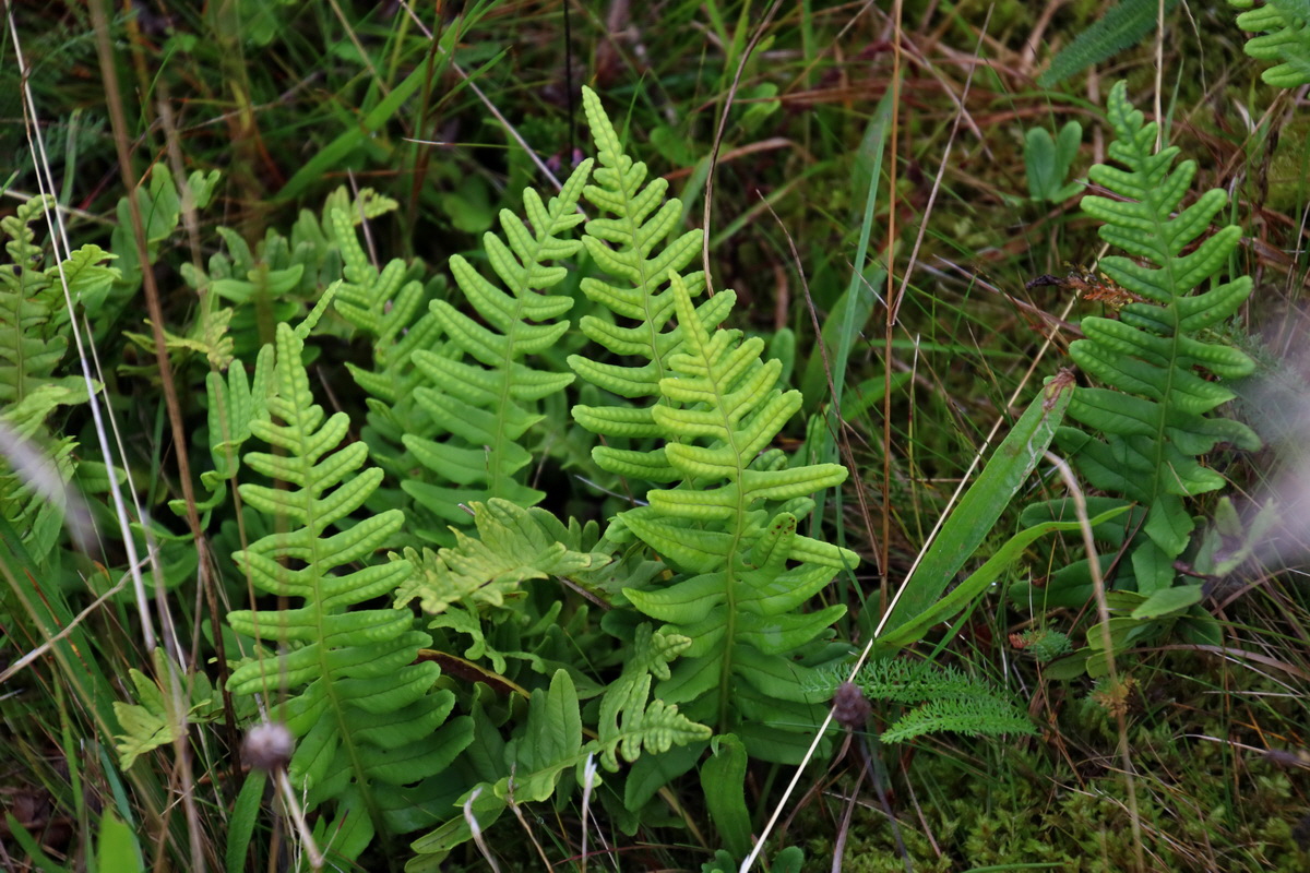 2015_09_14_016398p_Bildgr��e �ndern