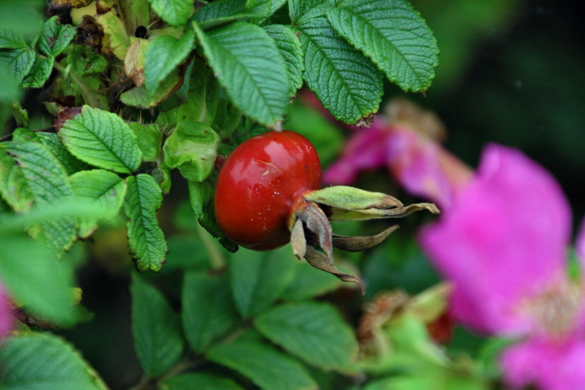 2015_09_14_016435p_Bildgr��e �ndern