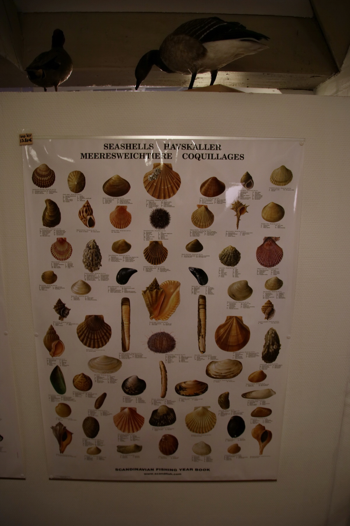 2015_09_14_016453p_Bildgr��e �ndern