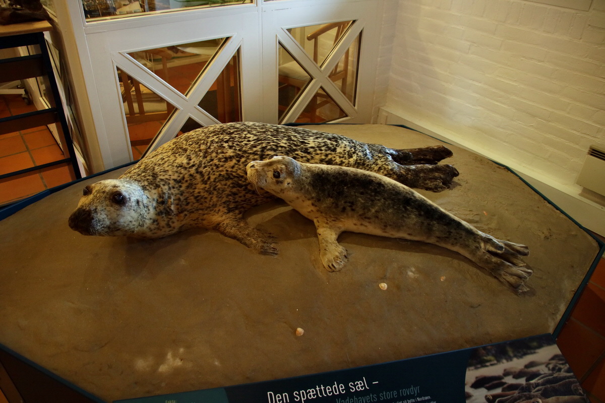 2015_09_14_016460p_Bildgr��e �ndern