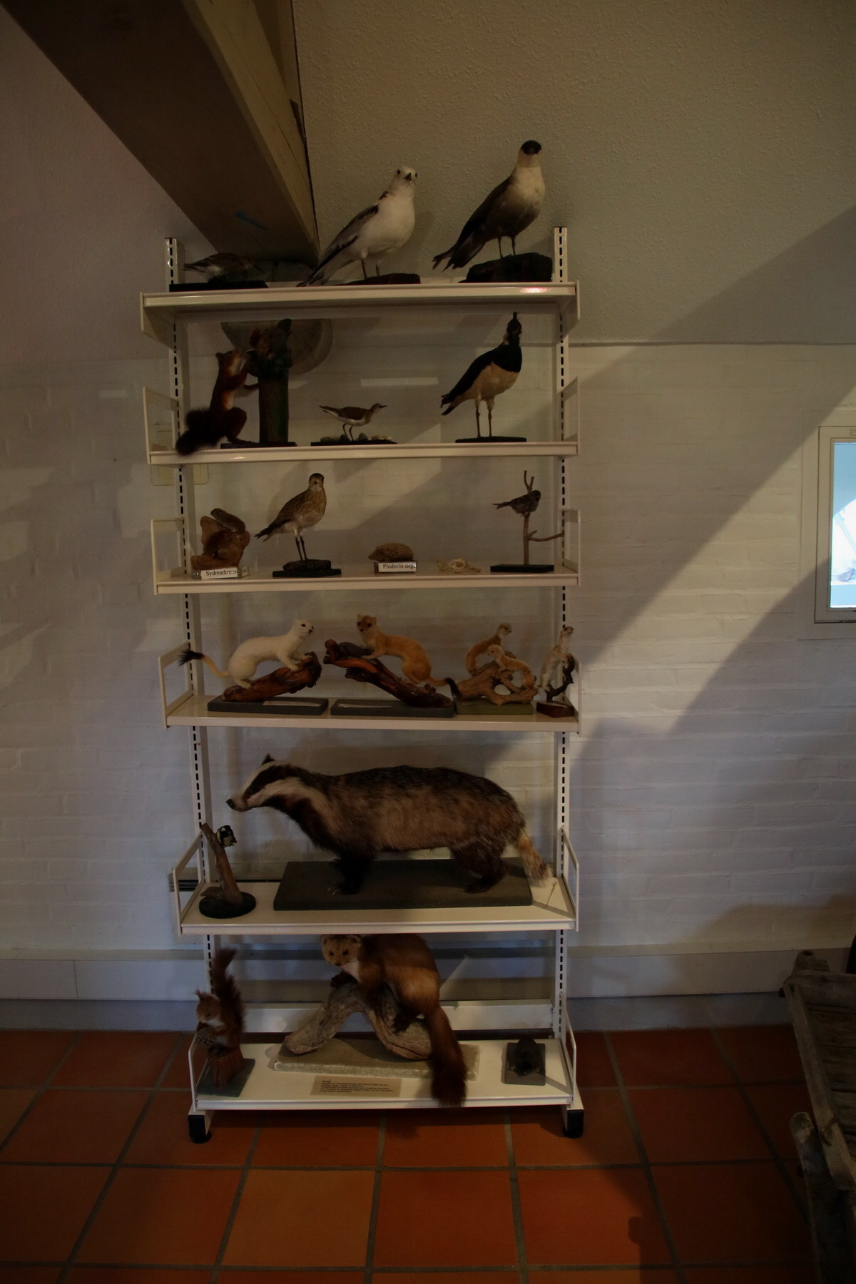 2015_09_14_016462p_Bildgr��e �ndern