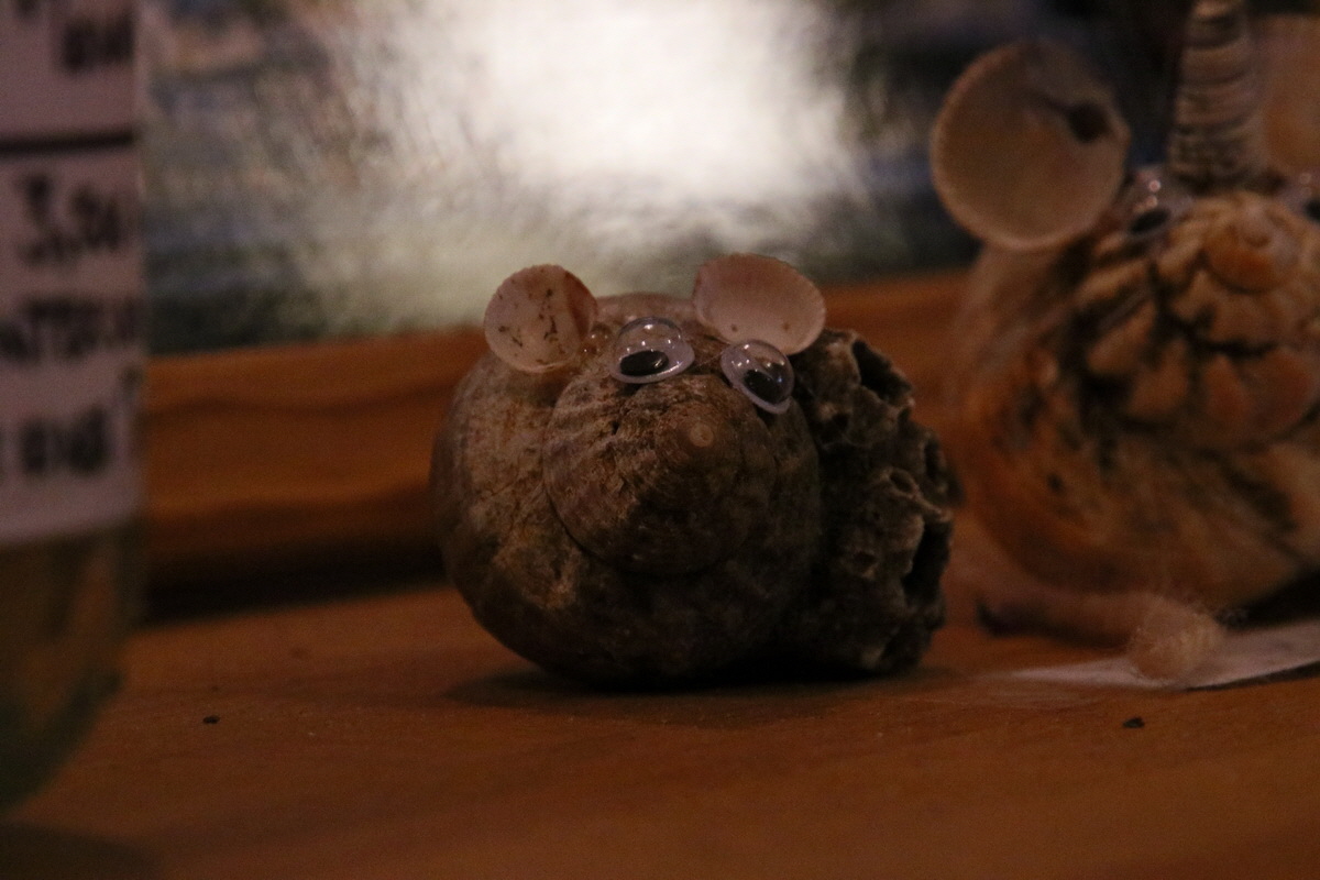 2015_09_14_016466p_Bildgr��e �ndern