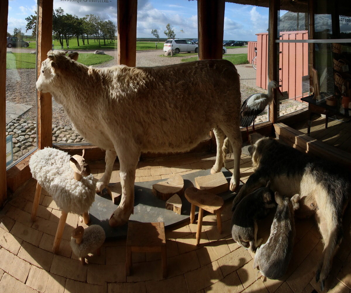 [Group 2]-2015_09_15_016517_2015_09_15_016524-8 images_Bildgr��e �ndern