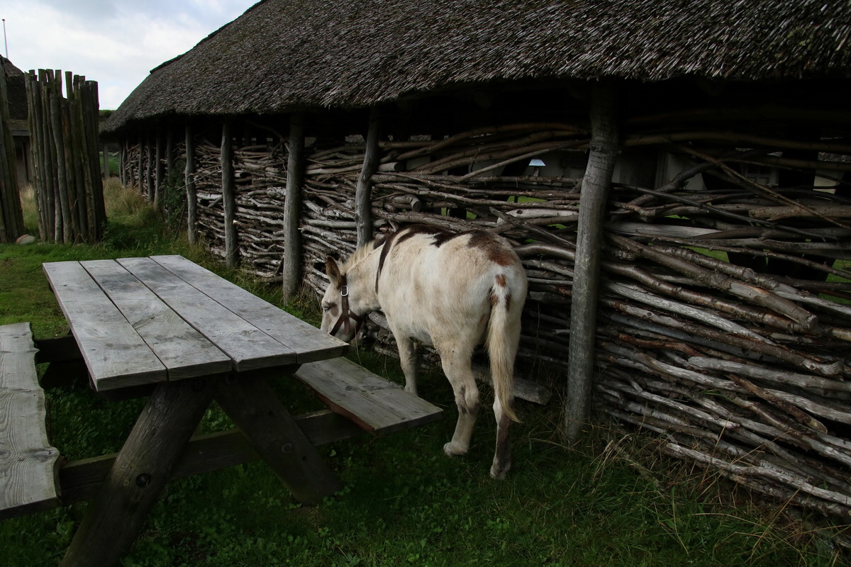 2015_09_15_016694p_Bildgr��e �ndern