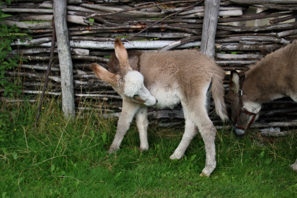 2015_09_15_016709p_Bildgr��e �ndern