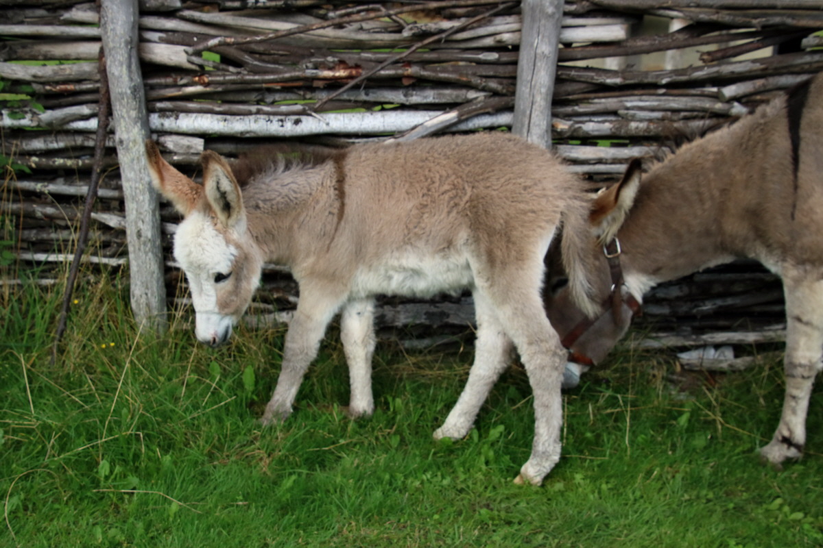 2015_09_15_016736p_Bildgr��e �ndern