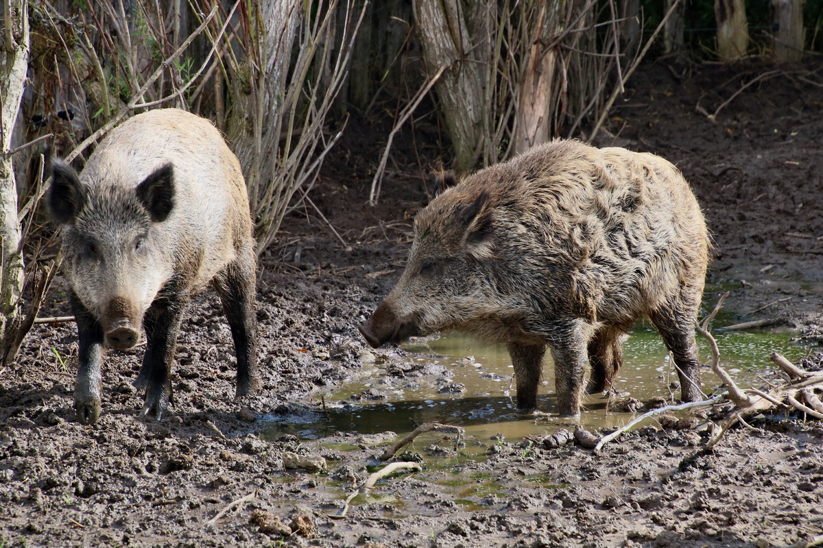 2015_09_15_016753p_Bildgr��e �ndern