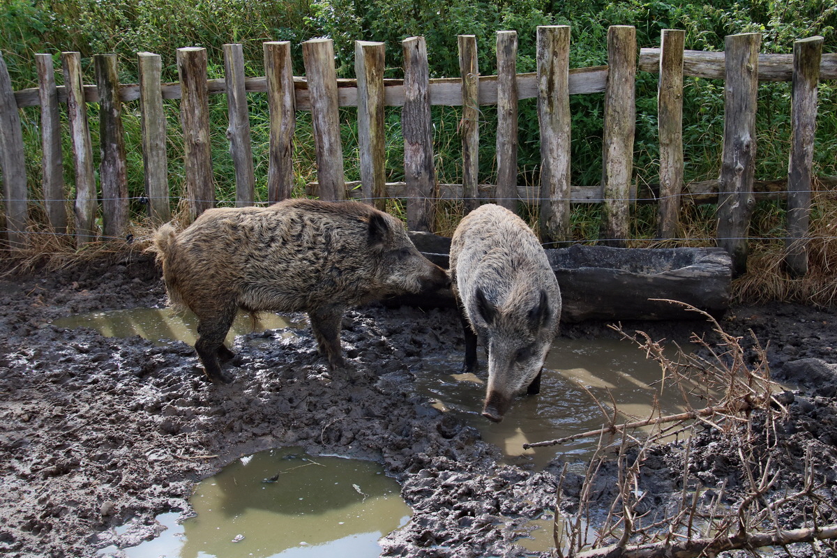 2015_09_15_016769p_Bildgr��e �ndern