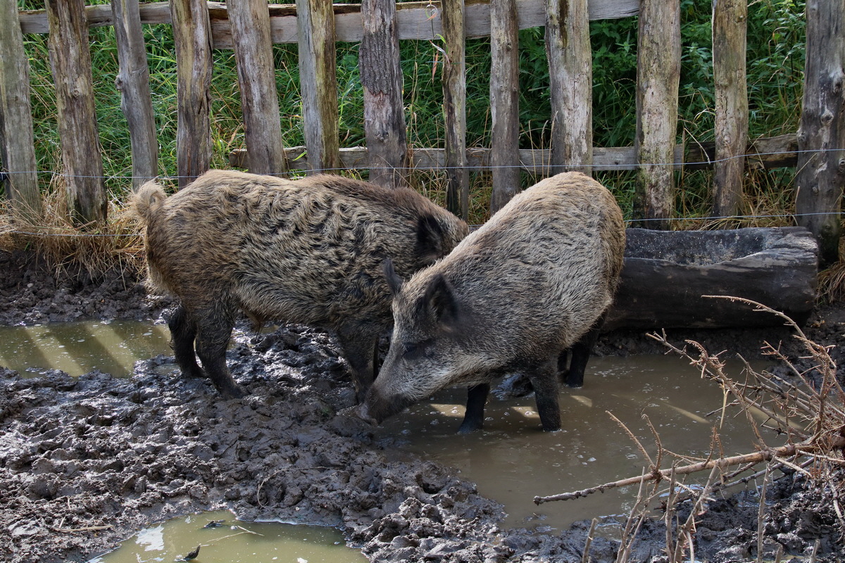 2015_09_15_016773p_Bildgr��e �ndern