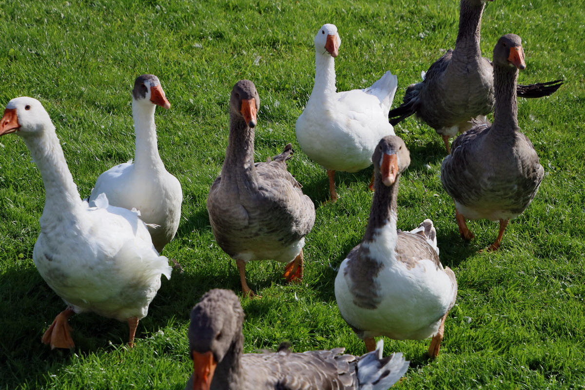 2015_09_15_016803p_Bildgr��e �ndern