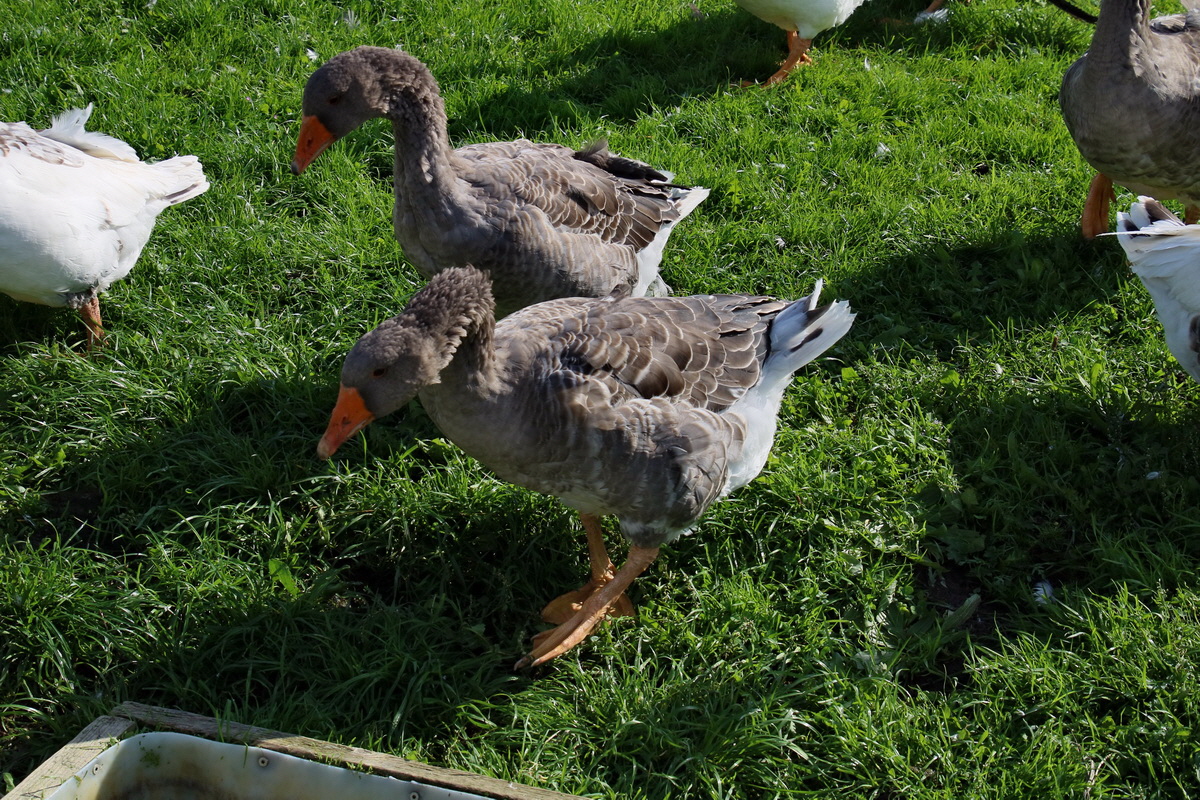 2015_09_15_016808p_Bildgr��e �ndern