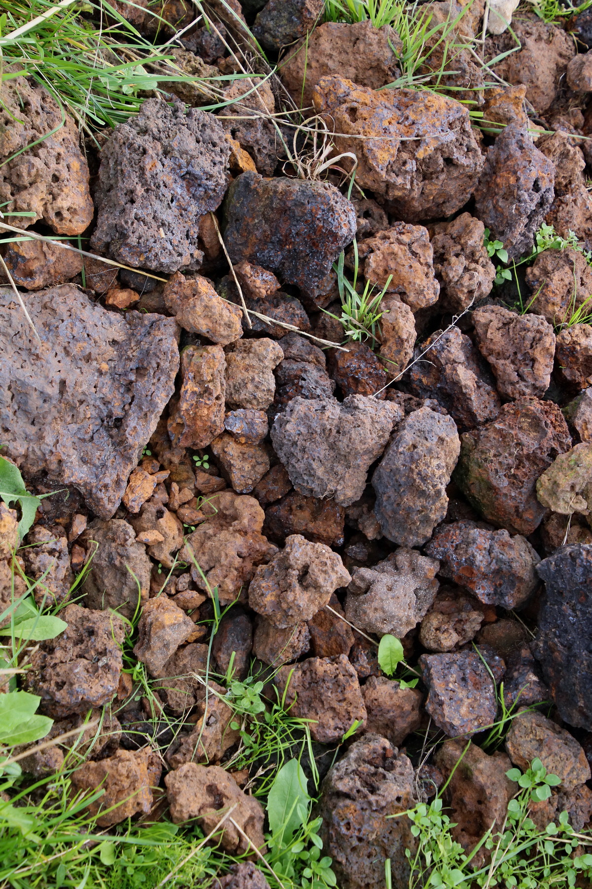 2015_09_15_016823p_Bildgr��e �ndern