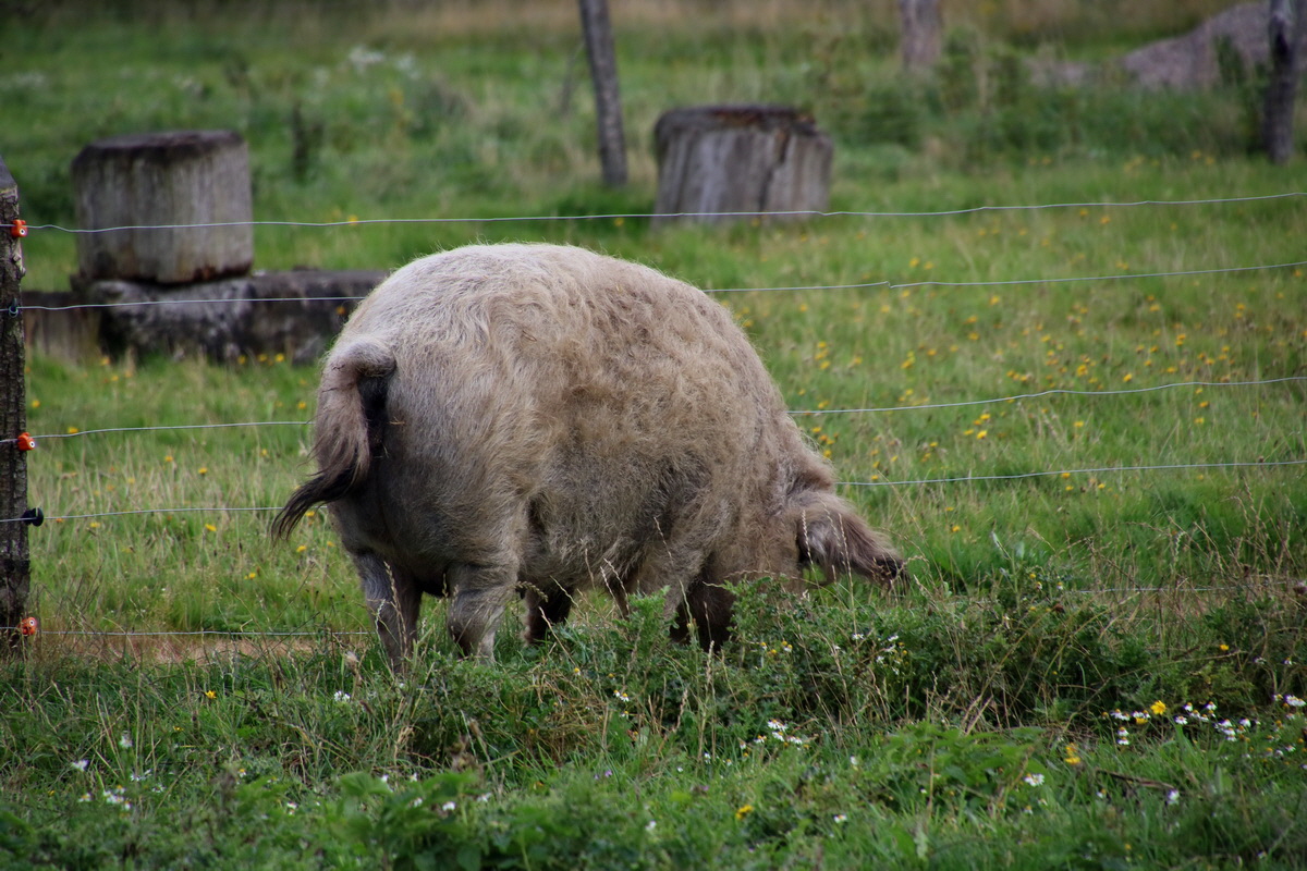 2015_09_15_016837p_Bildgr��e �ndern