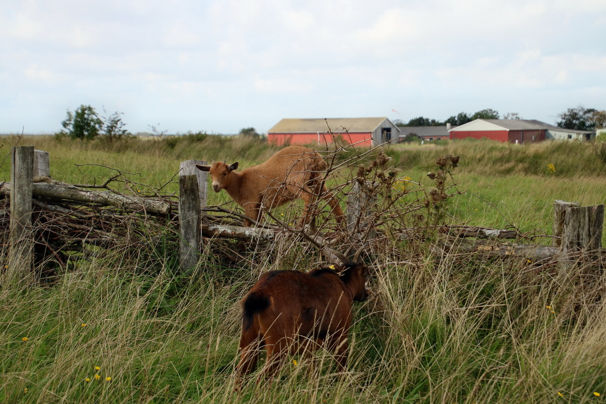 2015_09_15_016910p_Bildgr��e �ndern