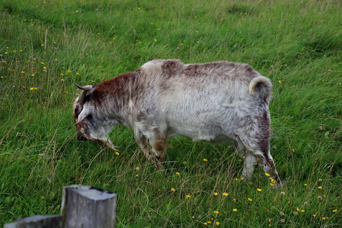 2015_09_15_016913p_Bildgr��e �ndern