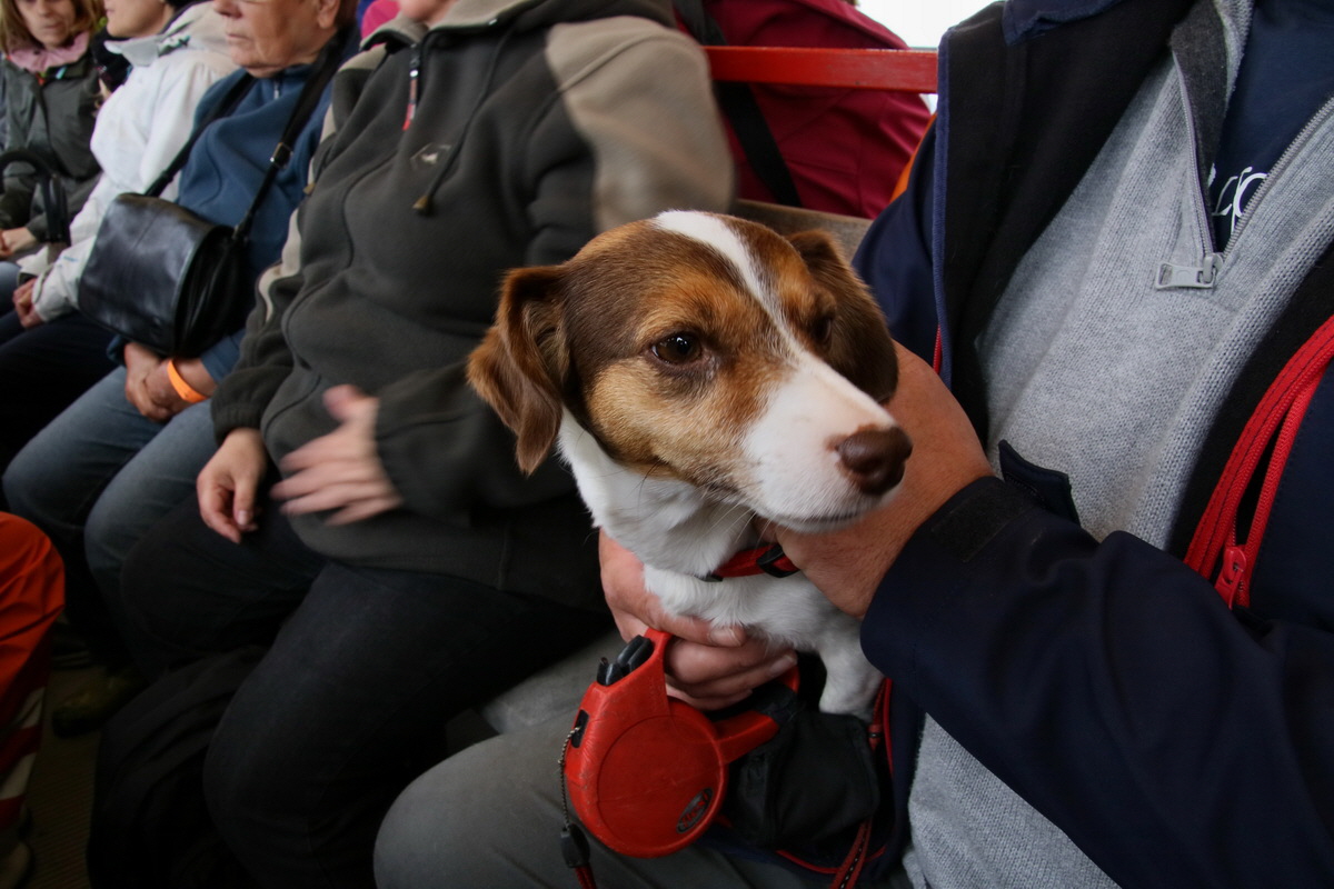 2015_09_16_016988p_Bildgr��e �ndern