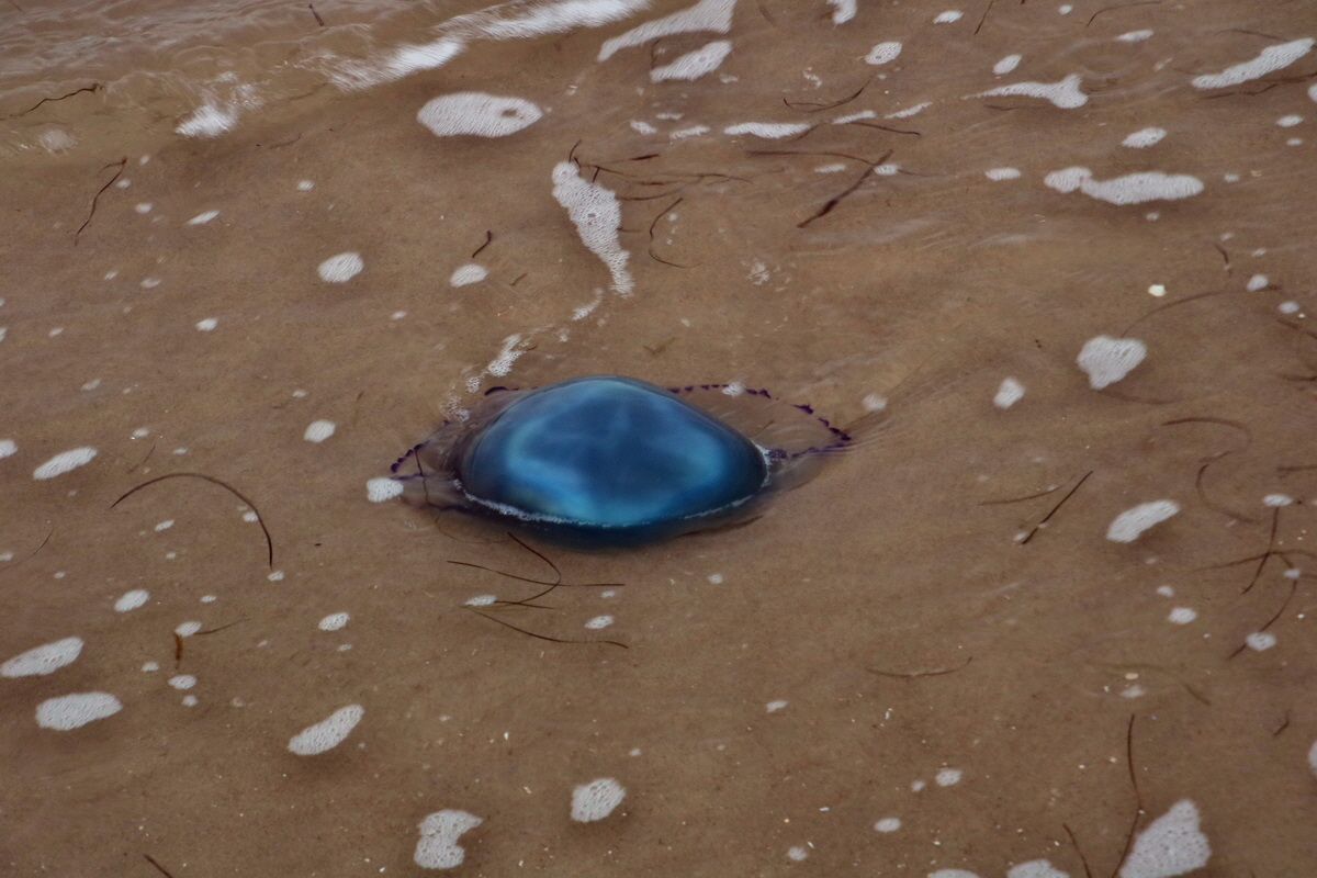 2015_09_16_017034p_Bildgr��e �ndern