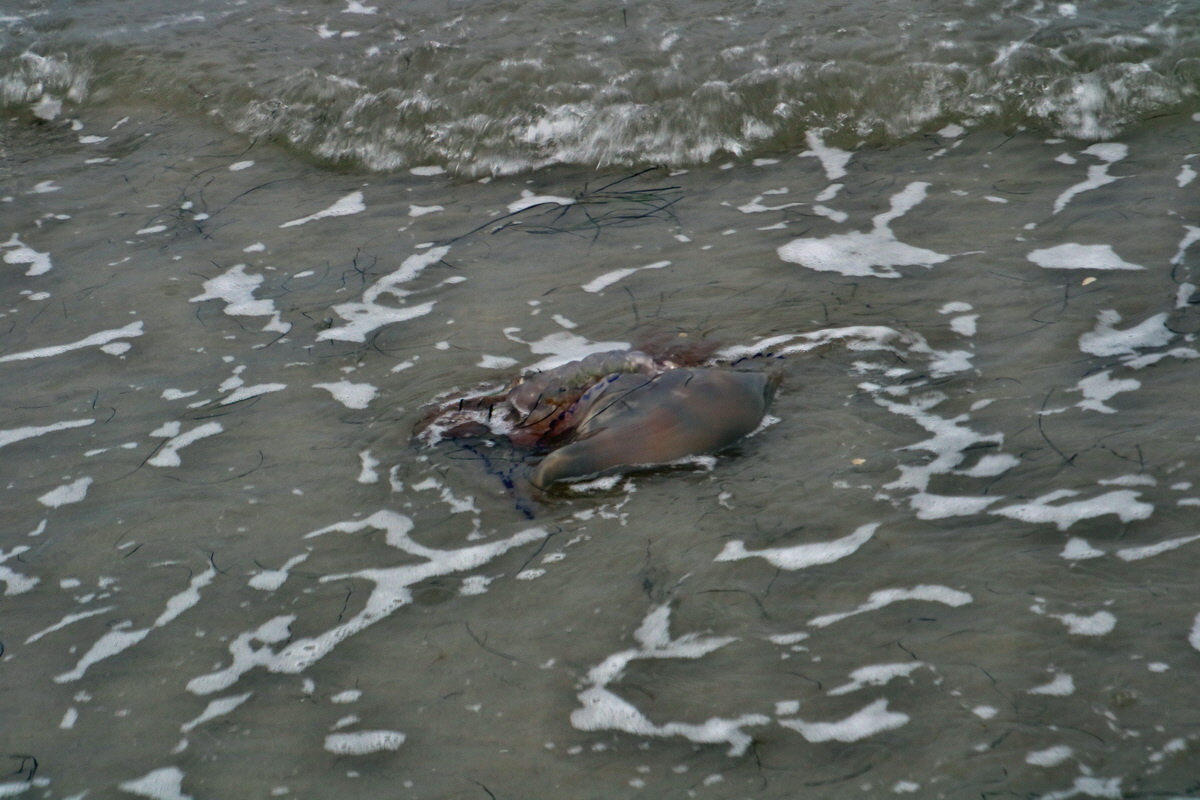 2015_09_16_017036p_Bildgr��e �ndern