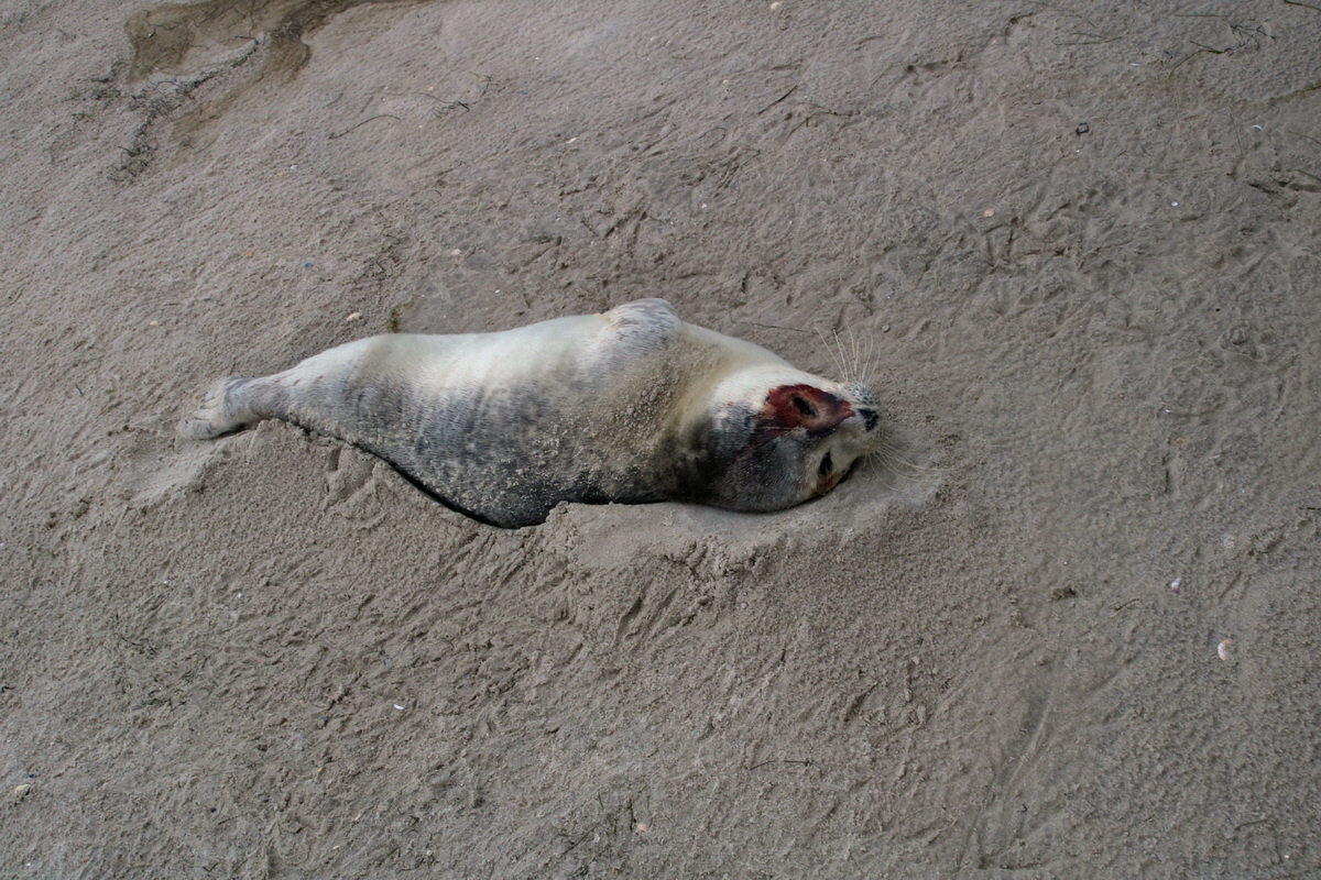 2015_09_16_017038p_Bildgr��e �ndern