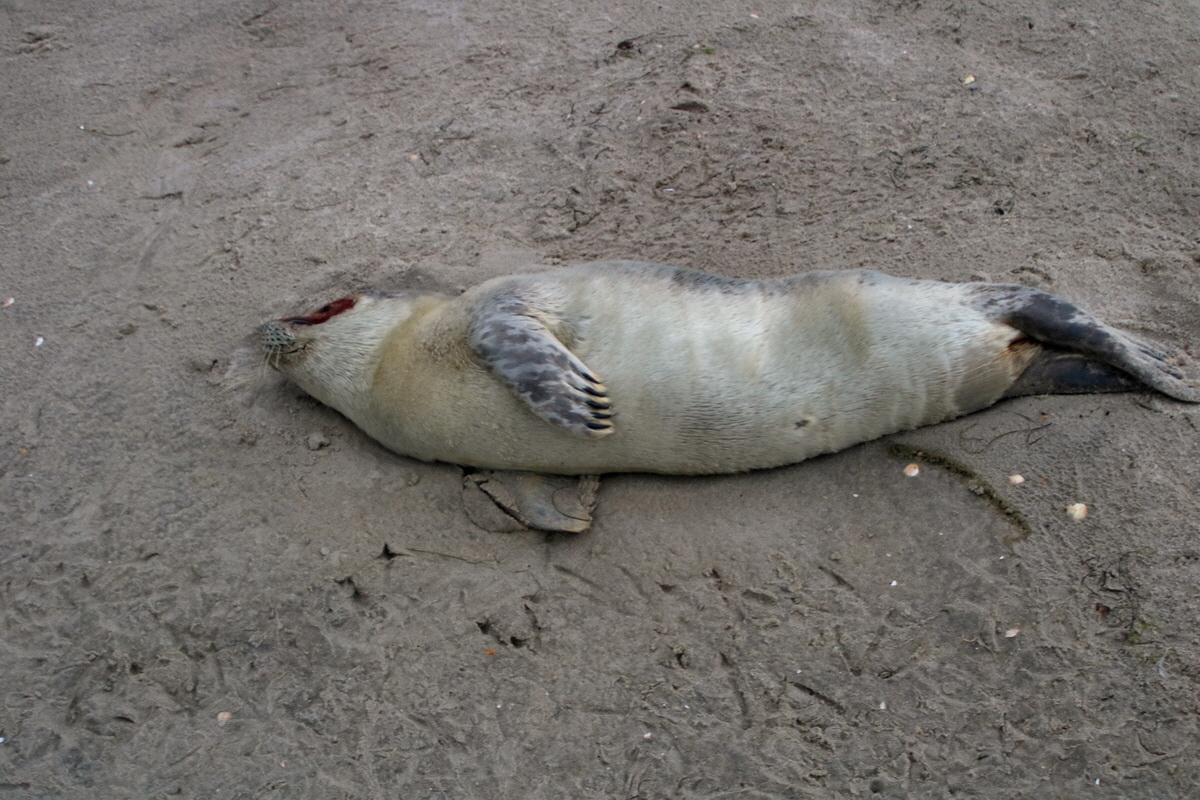 2015_09_16_017044p_Bildgr��e �ndern