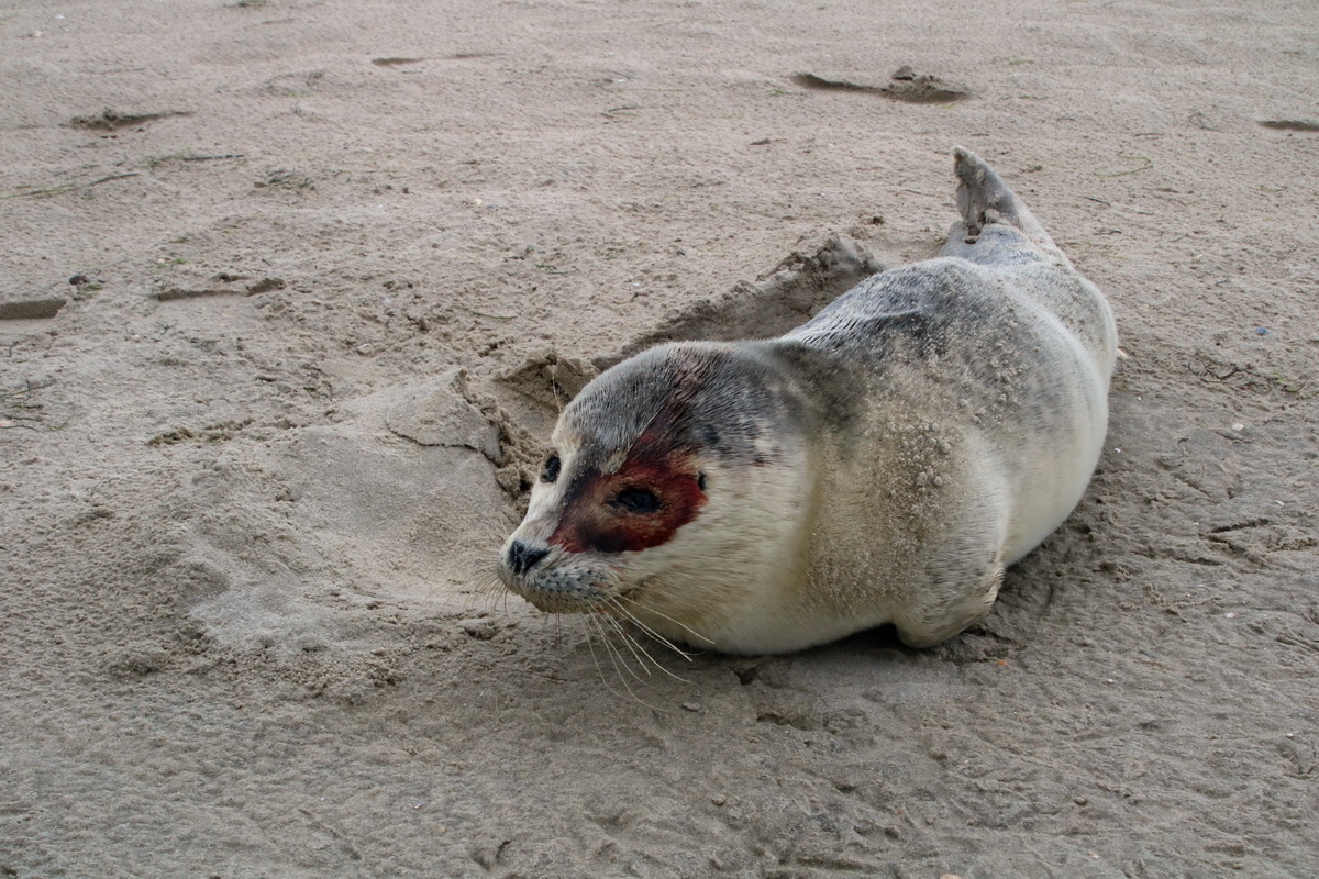 2015_09_16_017045p_Bildgr��e �ndern