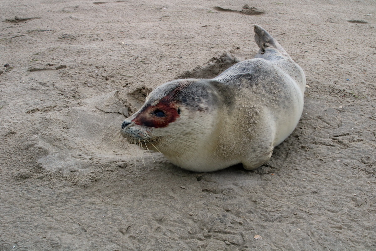 2015_09_16_017050p_Bildgr��e �ndern