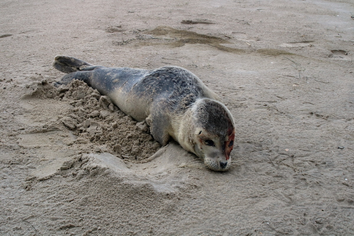 2015_09_16_017071p_Bildgr��e �ndern