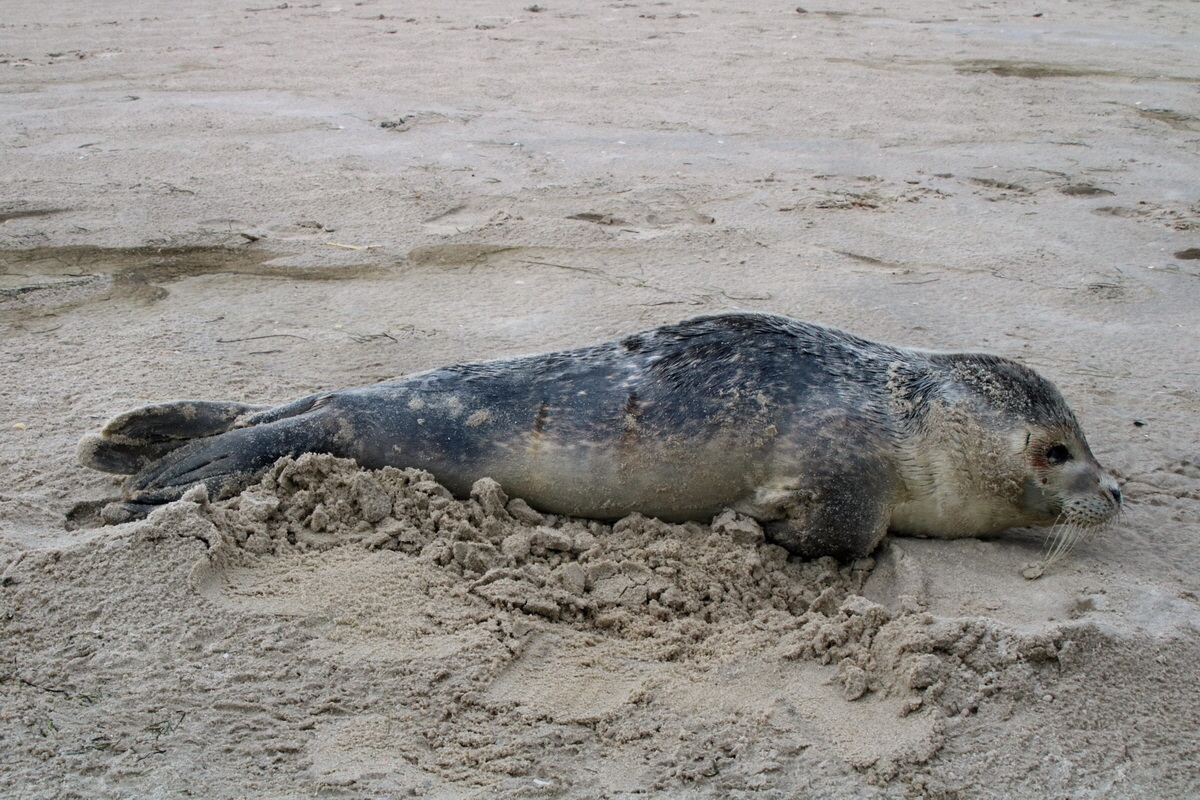 2015_09_16_017077p_Bildgr��e �ndern