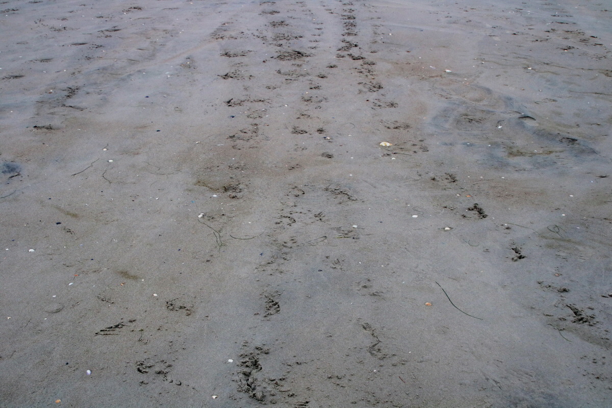 2015_09_16_017086p_Bildgr��e �ndern