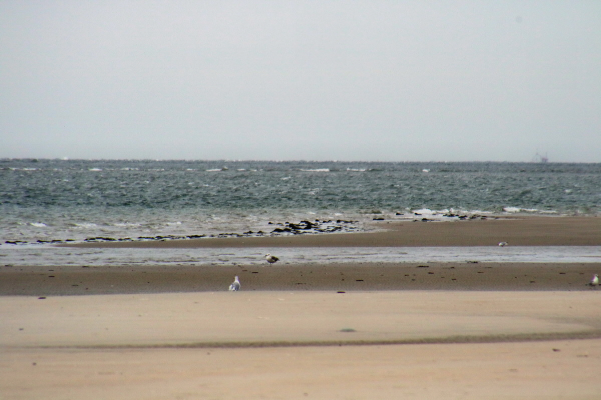 2015_09_16_017090p_Bildgr��e �ndern