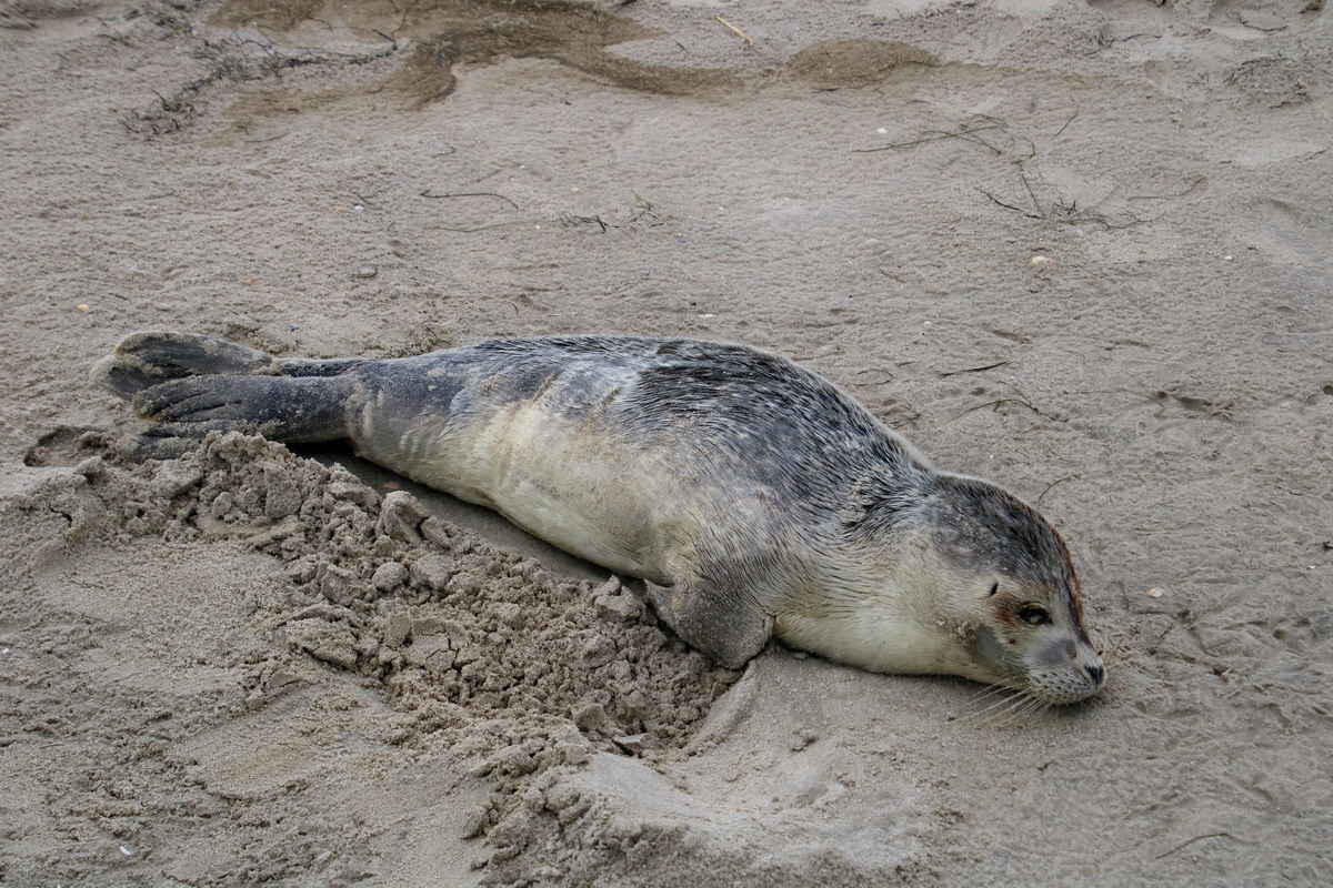 2015_09_16_017098p_Bildgr��e �ndern