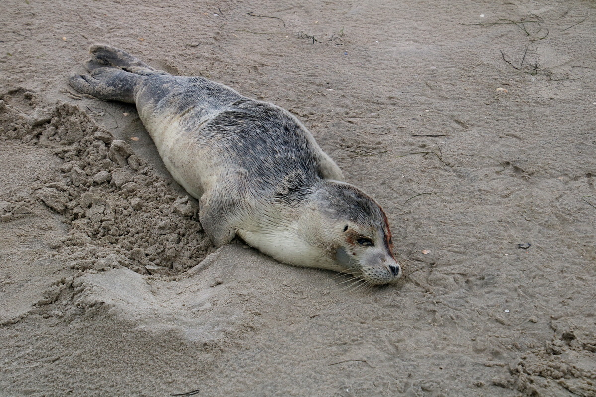 2015_09_16_017124p_Bildgr��e �ndern