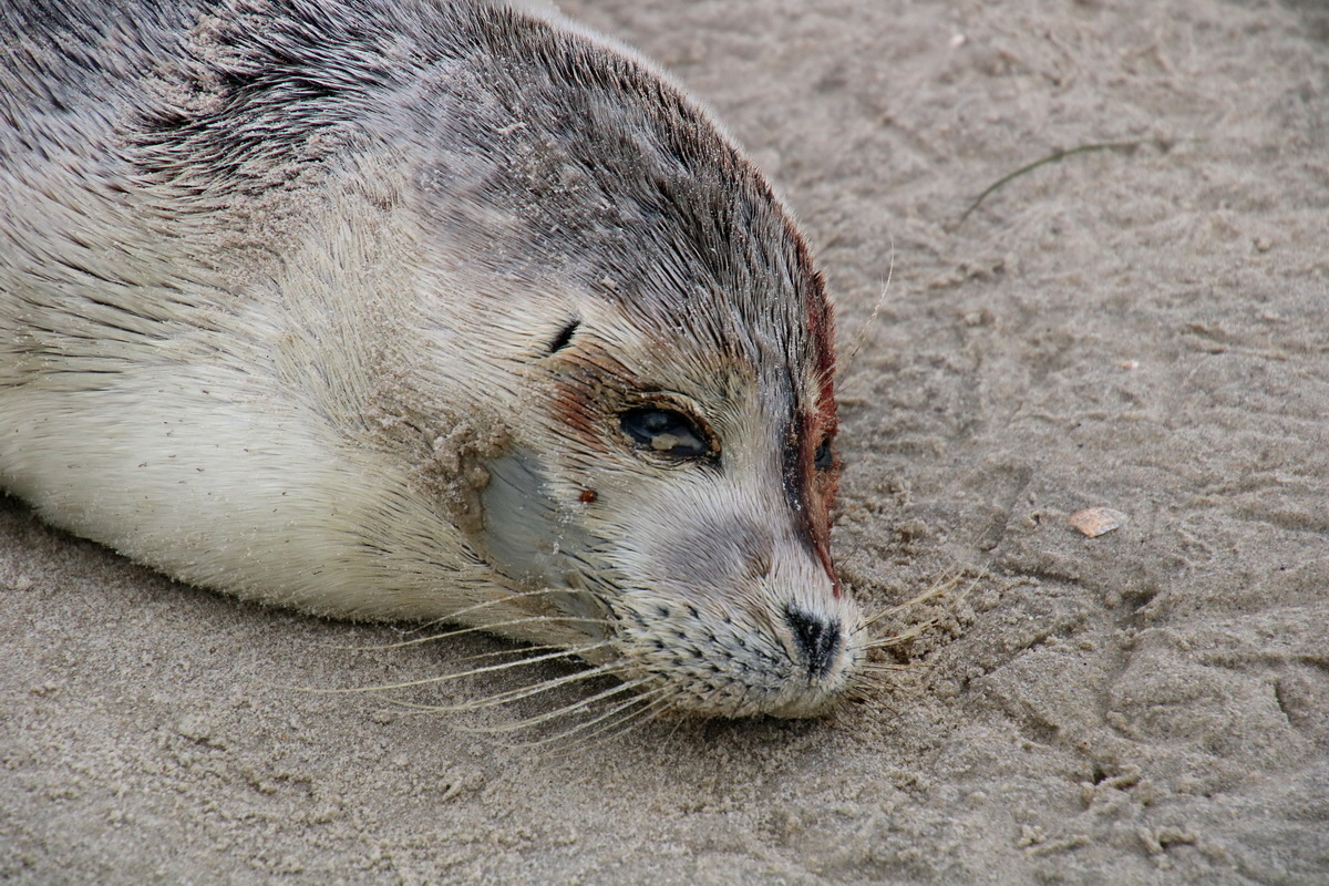 2015_09_16_017127p_Bildgr��e �ndern