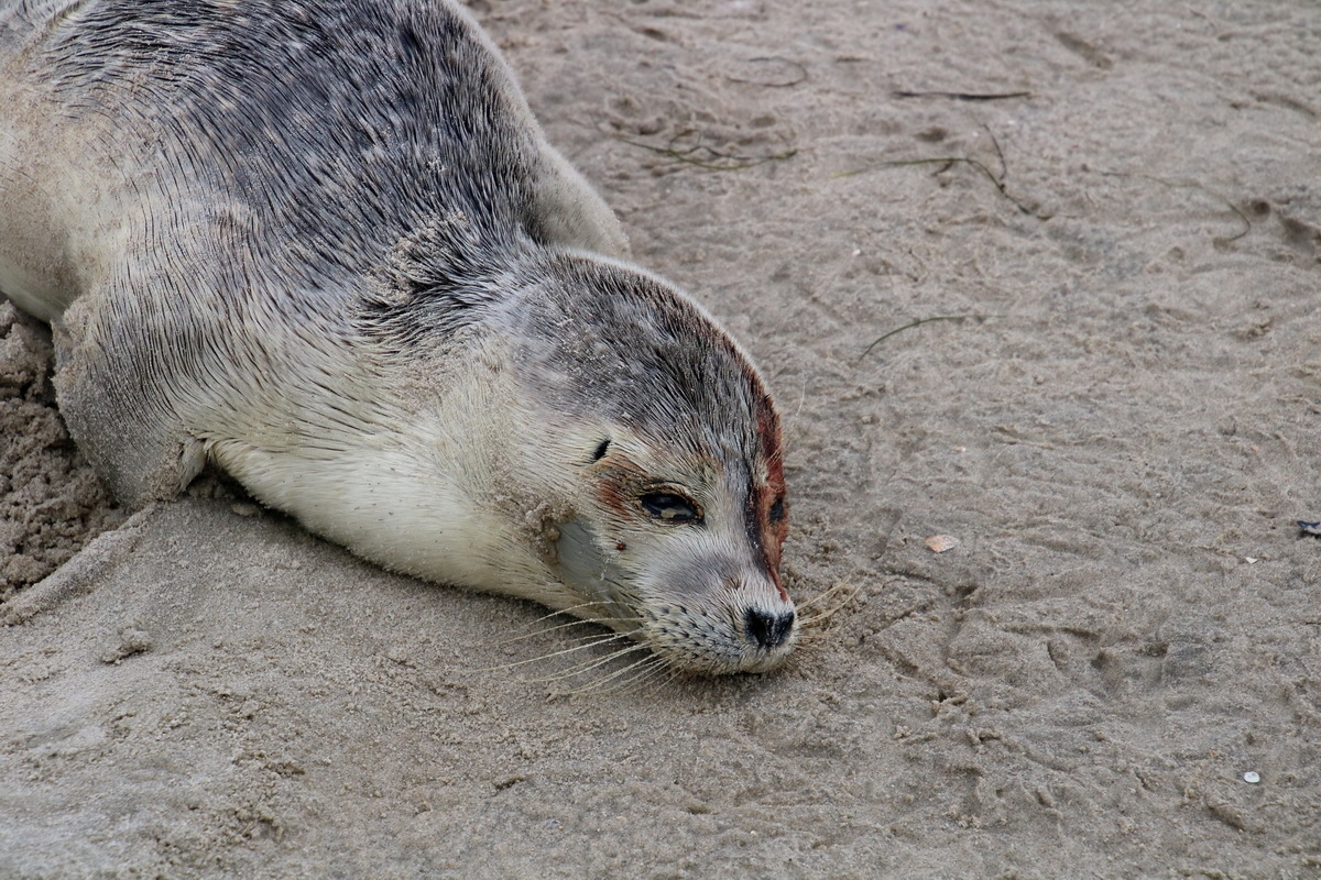 2015_09_16_017136p_Bildgr��e �ndern