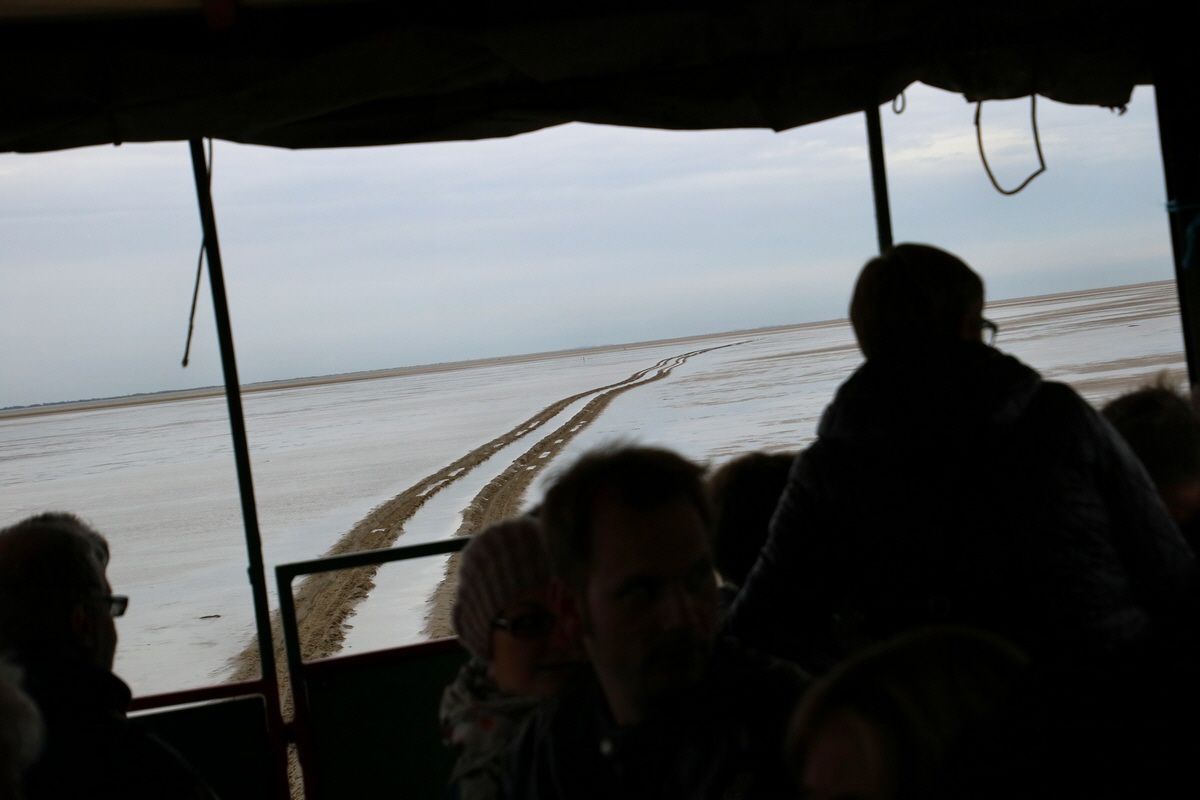 2015_09_16_017137p_Bildgr��e �ndern